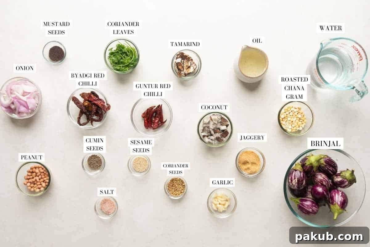 A flat lay photograph showcasing all the individual ingredients required for the stuffed brinjal curry recipe, arranged neatly.