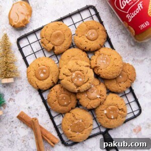 Stack of three-ingredient Biscoff cookies on a black cooling rack, showcasing their golden-brown hue.