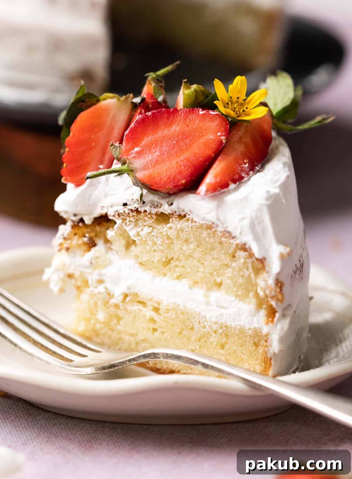 Effortless Air Fryer Vanilla Sponge Perfectly Egg-Free 2 A beautifully layered slice of eggless vanilla air fryer cake with whipped cream and fresh strawberries on top, showcasing its soft, moist texture.