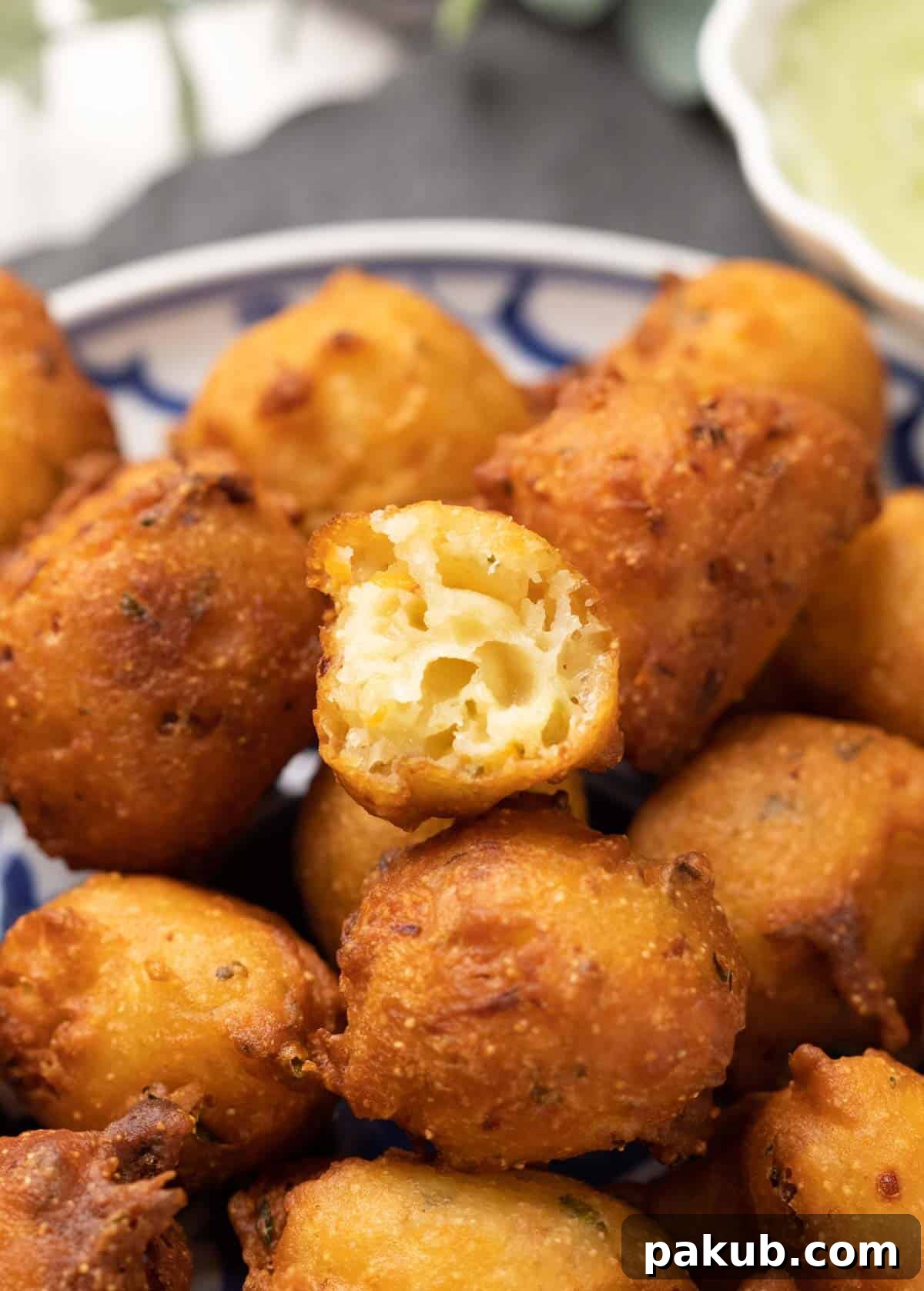 Mysore's Tangy Yogurt Fritters 2 close up of mysore curd bonda