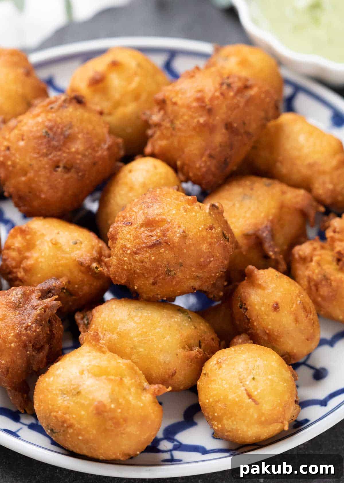 Mysore's Tangy Yogurt Fritters 5 close up of mysore curd bonda