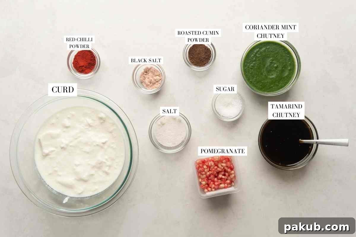 Cloud-Soft Lentil Fritters in Spiced Yogurt 4 Picture of the various chutneys and spices used for Dahi Vada toppings