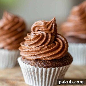 chocolate cupcake with a swirl of chocolate buttercream