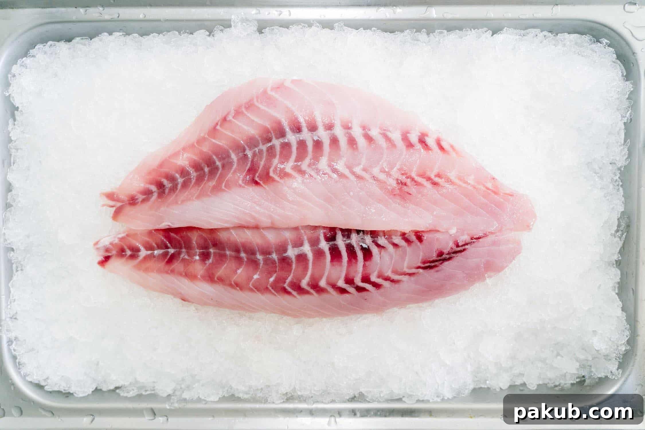 Safe Fish Thawing Methods 3 picture of fish fillet on ice
