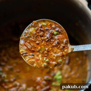 Closeup of a ladleful of Dhaba style mixed dal to show the texture