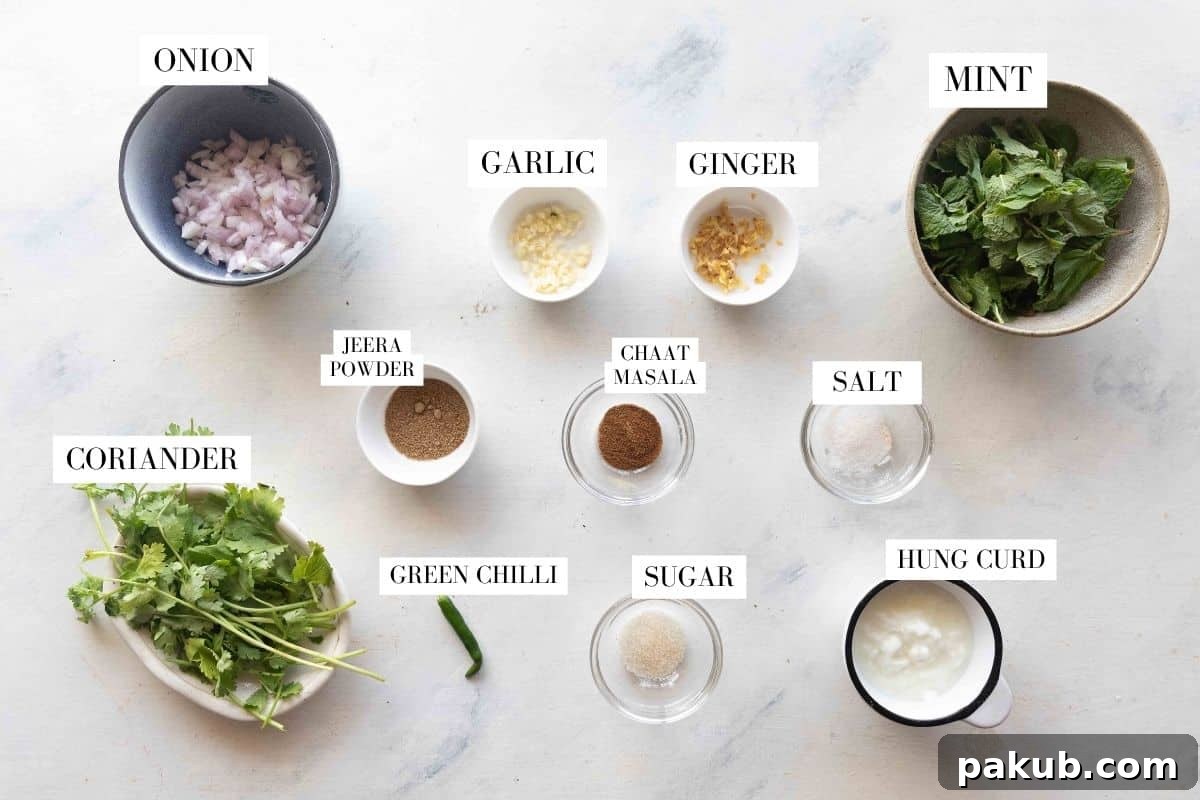 A selection of fresh ingredients laid out for making mint chutney, including mint leaves, coriander, green chilies, ginger, garlic, and spices.
