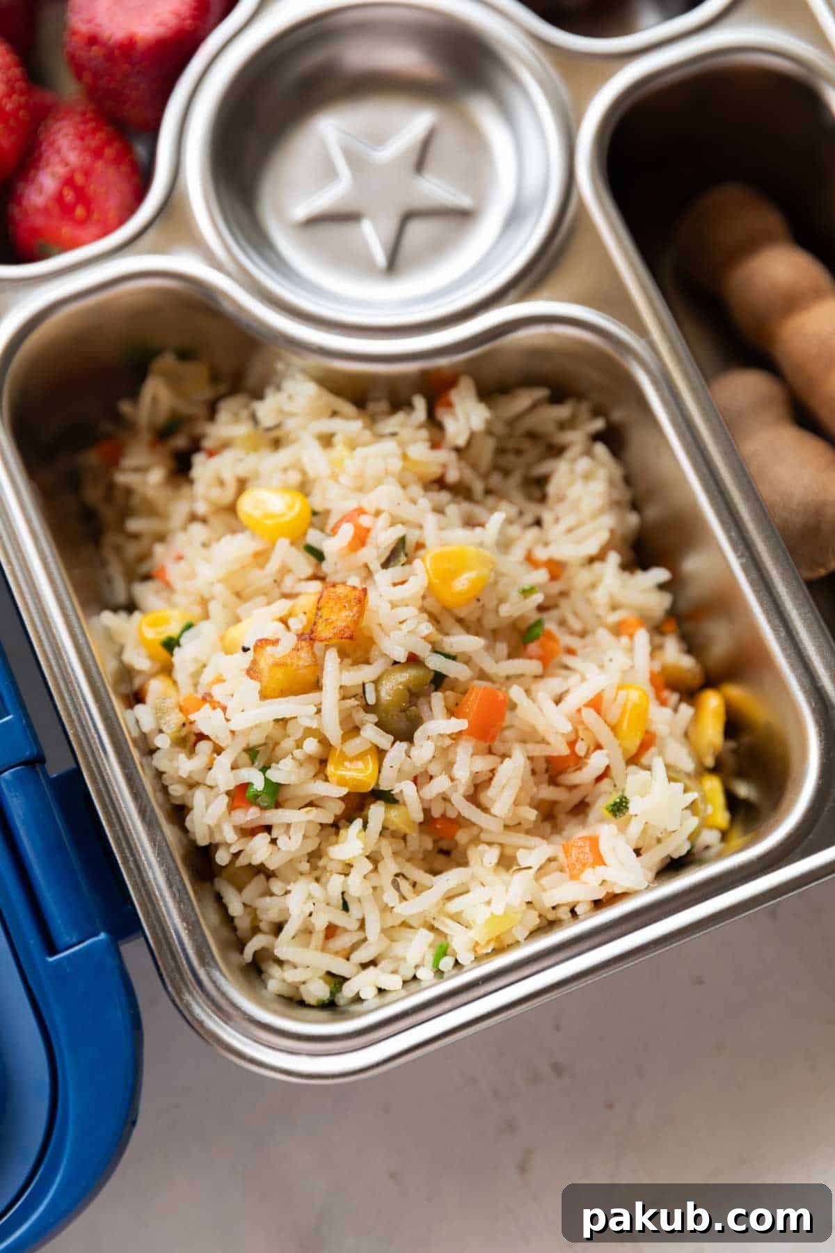 Party Sprinkles Rice 6 shot of colourful rainbow rice in a steel tiffin or lunch box