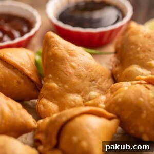 A close-up shot of a beautifully golden brown Punjabi samosa, highlighting its crispy texture.