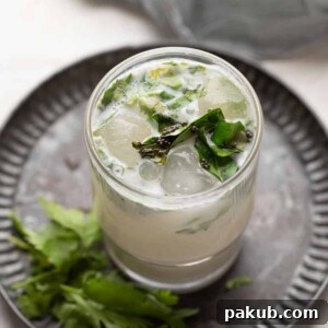 Masala Chaas with ice cubes, served in a clear glass on a rustic metal tray, ready to refresh.