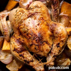 Golden-brown whole roast chicken in a cast iron skillet, surrounded by roasted vegetables and rich pan juices.