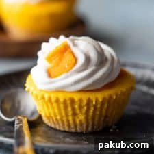 Mini mango cheesecakes served on a plate topped with whipped cream and fresh mango slices.