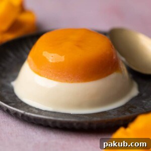 Mango Panna Cotta served on a grey plate with a spoon, showing its two distinct layers.