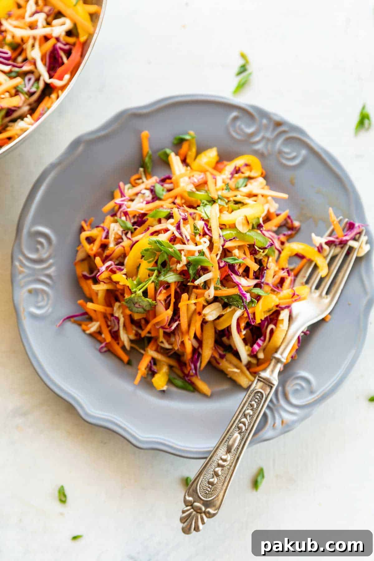 Vibrant Asian Slaw in a grey bowl with a fork, set against a pristine white background