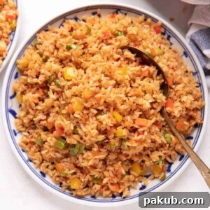 A vibrant picture of Chilli Garlic Fried Rice, artfully arranged on a stylish white and blue plate, ready to be enjoyed.