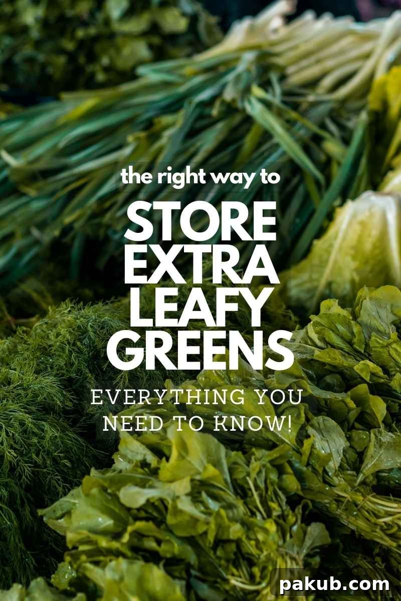 A vibrant assortment of different types of leafy greens, fresh and ready for storage, with an overlay suggesting storage tips.