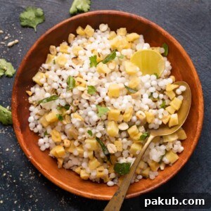 A bowl of fluffy Sabudana Khichdi garnished with fresh coriander and groundnuts, served with a spoon