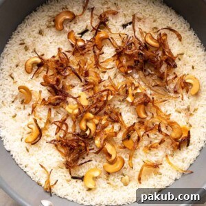 Ghee Rice elegantly captured in the pot it was prepared in, generously topped with crispy fried onions and golden fried cashews.