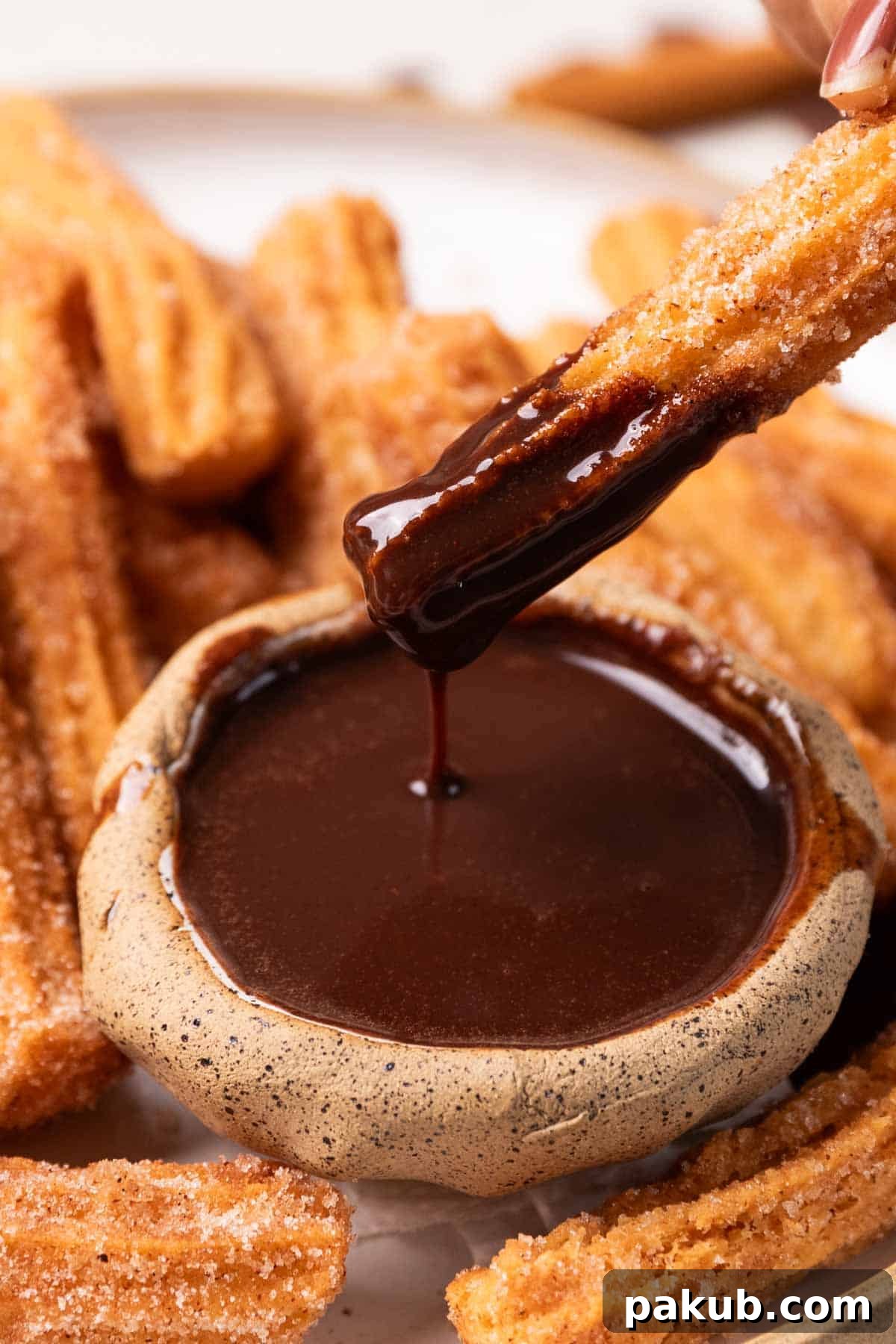 Plant-Based Churros 3 Close-up of golden-brown eggless churros, perfectly ridged and coated in cinnamon sugar, next to a bowl of rich chocolate sauce.