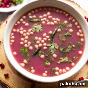 Anar Pani Puri, garnished with fresh coriander leaves and crispy boondi, served elegantly in a white bowl, showcasing its vibrant color and tempting texture.