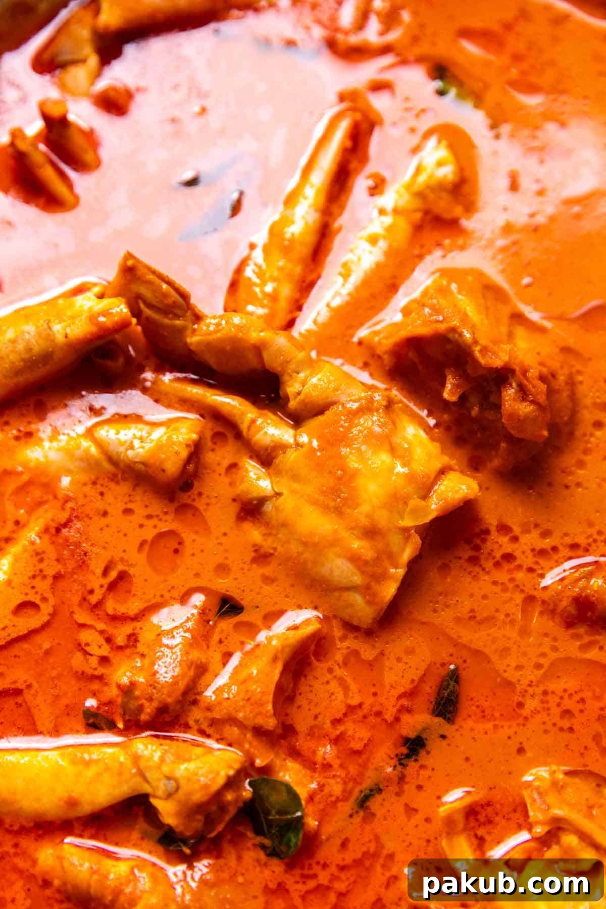 Mangalore's Fiery Crab Feast 3 close up of Mangalorean crab curry