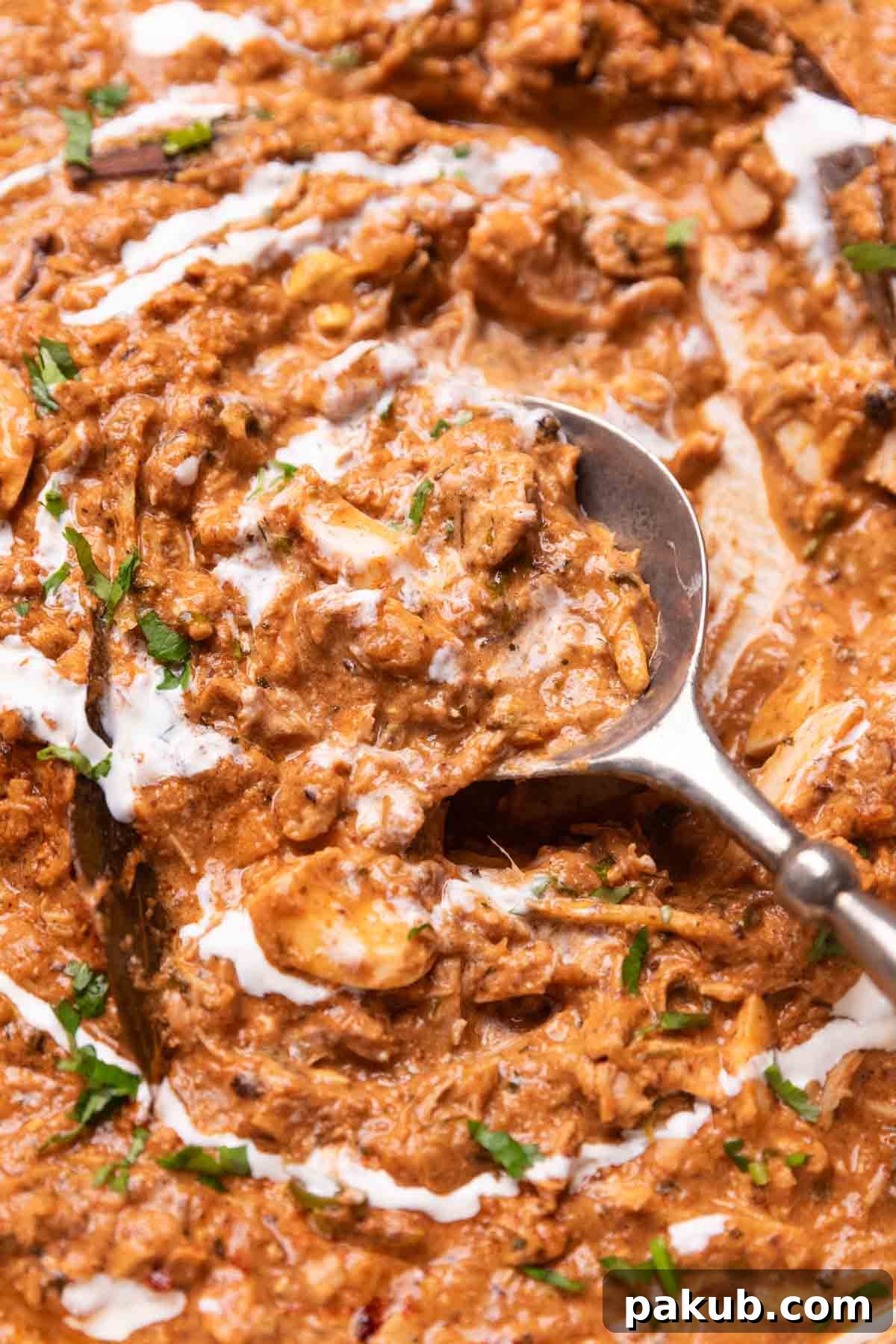 Shredded Chicken Bharta 3 A close-up view of creamy Chicken Bharta showcasing its rich texture and inviting color.