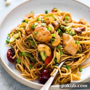 Chinese Cashew Chicken Noodles Stir-Fry, elegantly garnished with sesame seeds and fresh green onions, served on a white plate