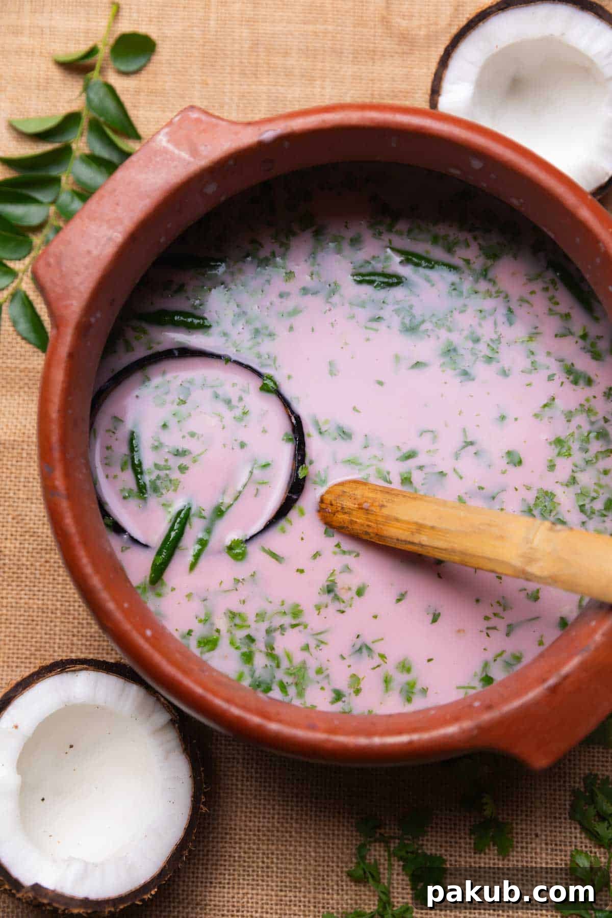 A large earthen bowl filled with Sol Kadhi, garnished with fresh herbs, with a wooden ladle resting inside. The vibrant pink hue of the drink is inviting and refreshing.