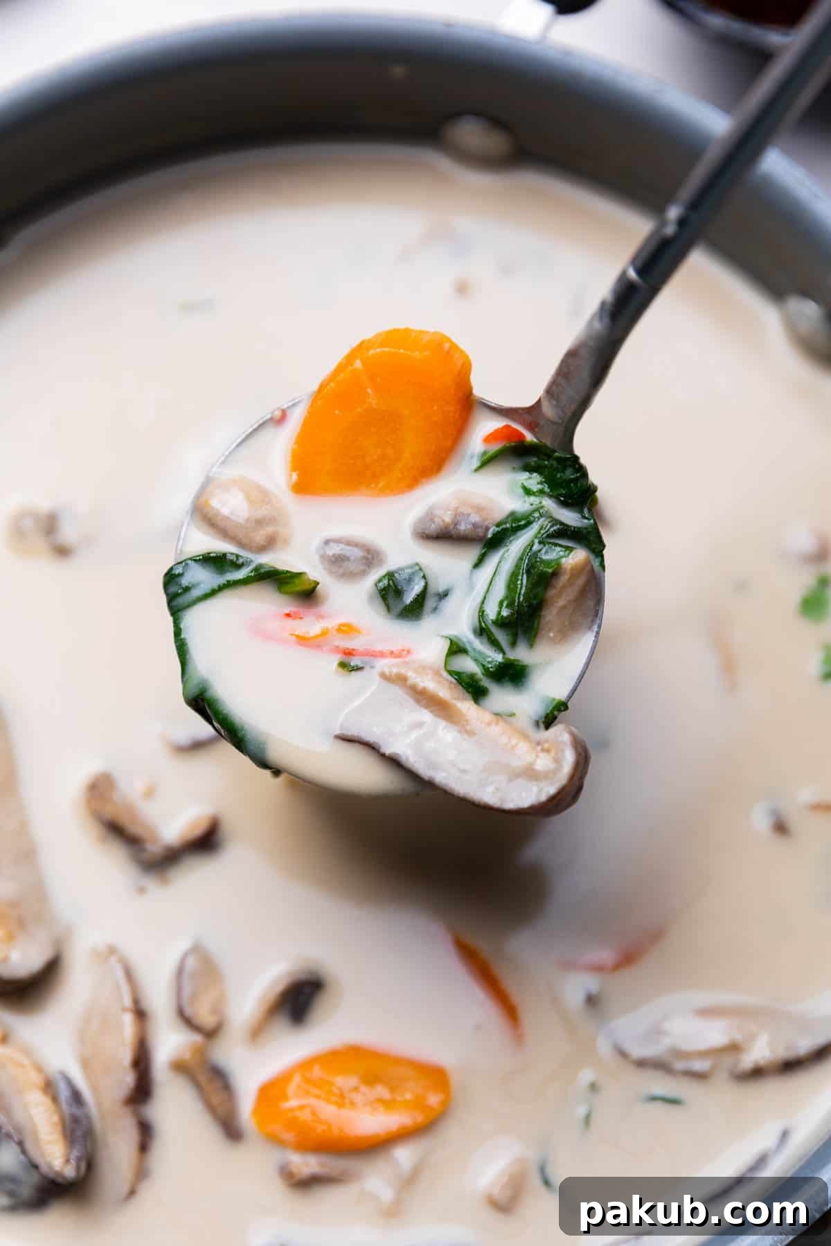 Creamy Vegetarian Tom Kha Coconut Soup 3 close up image of vegetarian tom kha soup to show the texture