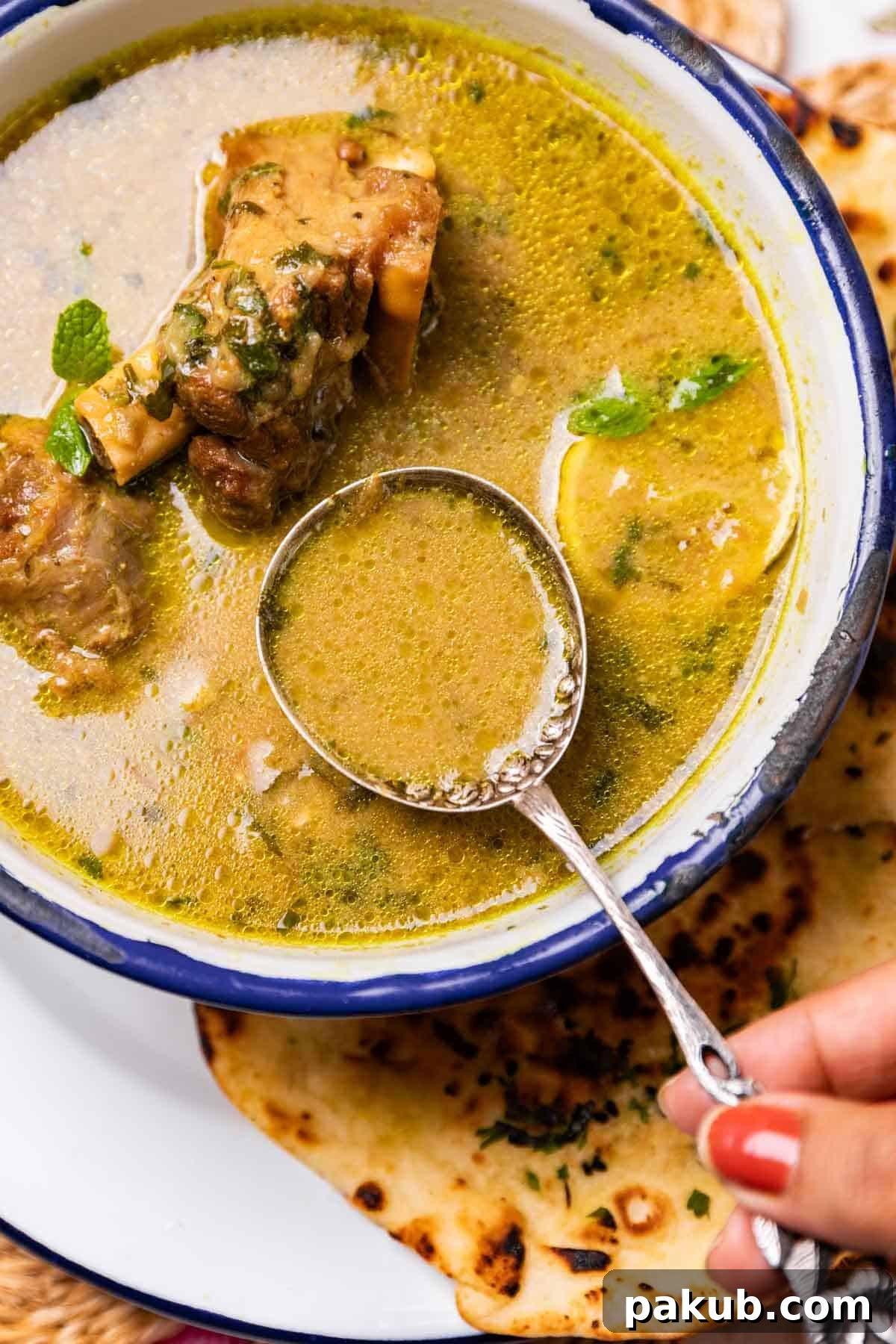 Savory Mutton Marag Broth 2 A spoonful of rich Hyderabadi Mutton Marag lifted from a steaming bowl, showcasing tender lamb and its silky texture, served with fresh herbs and crusty bread