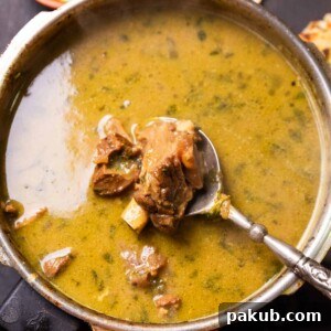 Hyderabadi Mutton Marag in a bowl, with a spoon showcasing a piece of tender lamb