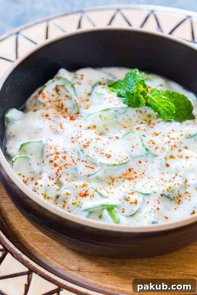 Spiralized Cucumber Raita in a Black Bowl indian spiralized cucumber mint raita served in a black bowl