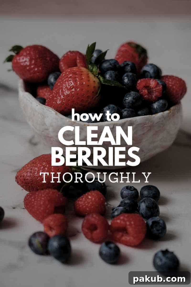 Simple Steps to Perfectly Clean Berries 2 A vibrant picture of fresh berries in a white bowl, ready for cleaning, with an inviting text overlay