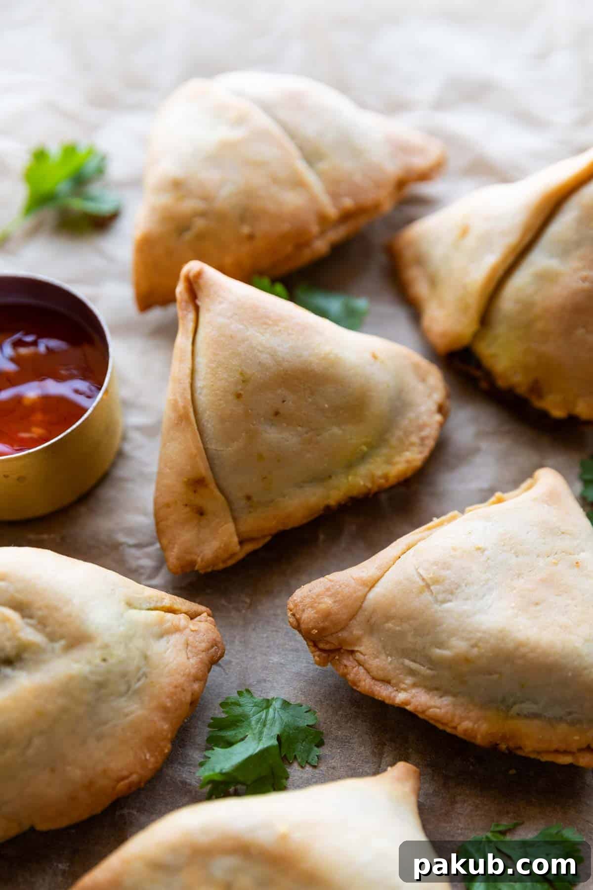 Guilt-Free Air Fryer Aloo Samosas 2 Crispy Air Fryer Aloo Samosas served with a side of ketchup