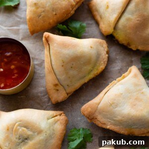 air fryer samosas served with ketchup