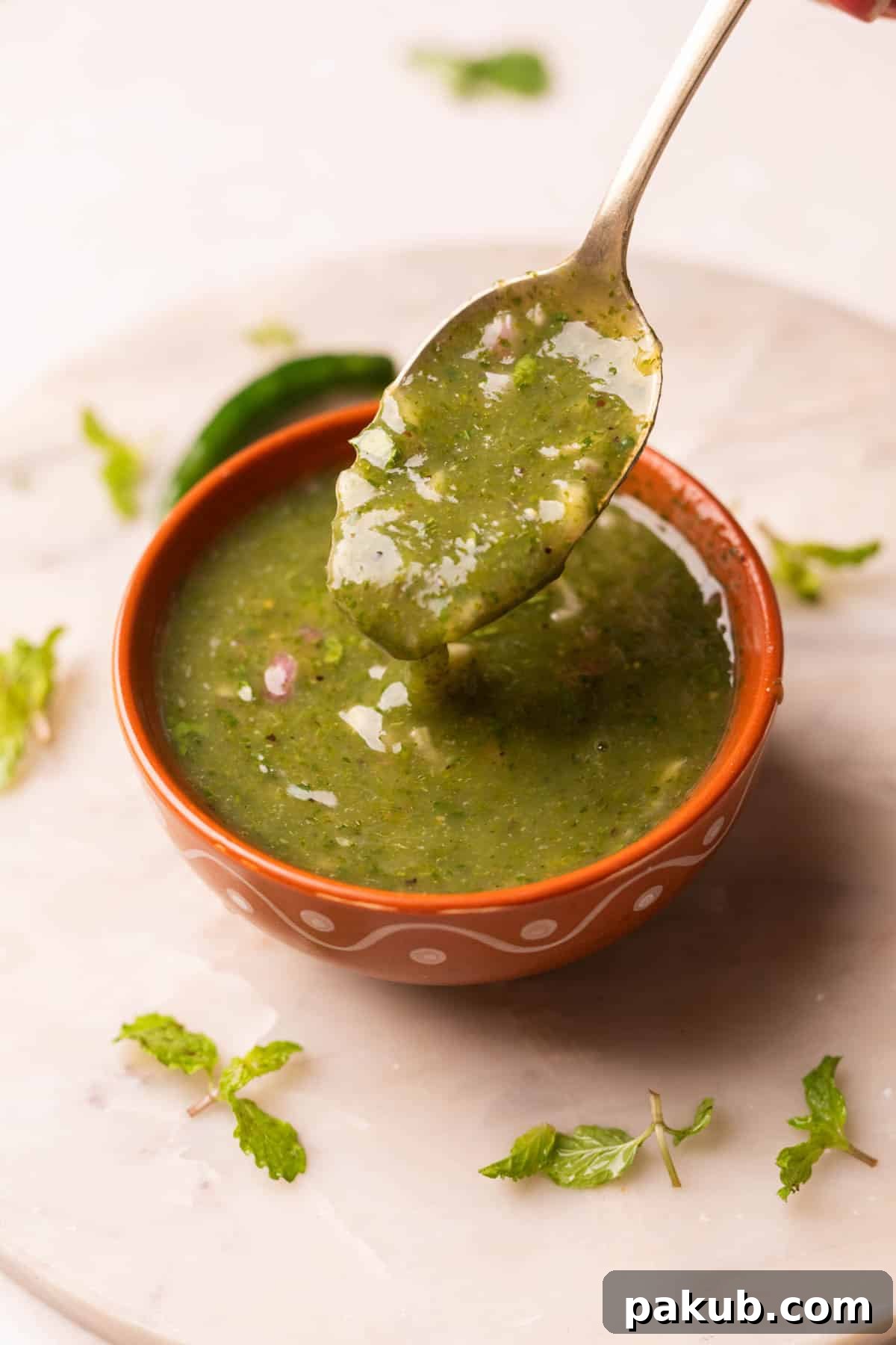 Himachali Echoes 3 Close-up image of Himachali Mahni scooped up in a spoon, highlighting its thick, vibrant texture and inviting appeal.