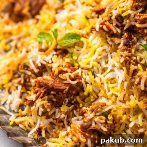 A close-up image of jackfruit biryani garnished with mint leaves
