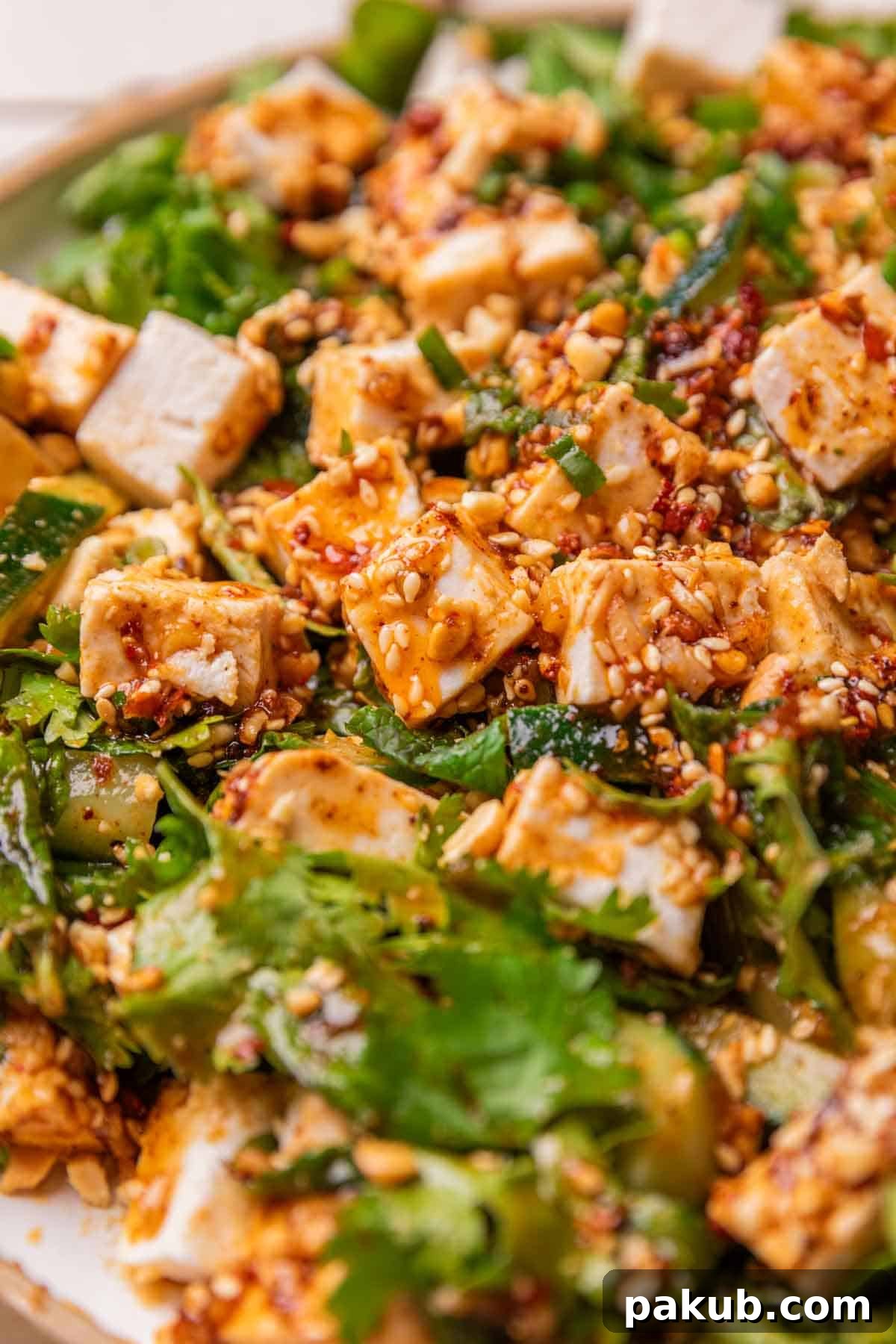 Zesty Sesame Tofu and Cucumber Salad 4 A close-up view of the texture and vibrant colors of the Asian cucumber salad with tofu and dressing.