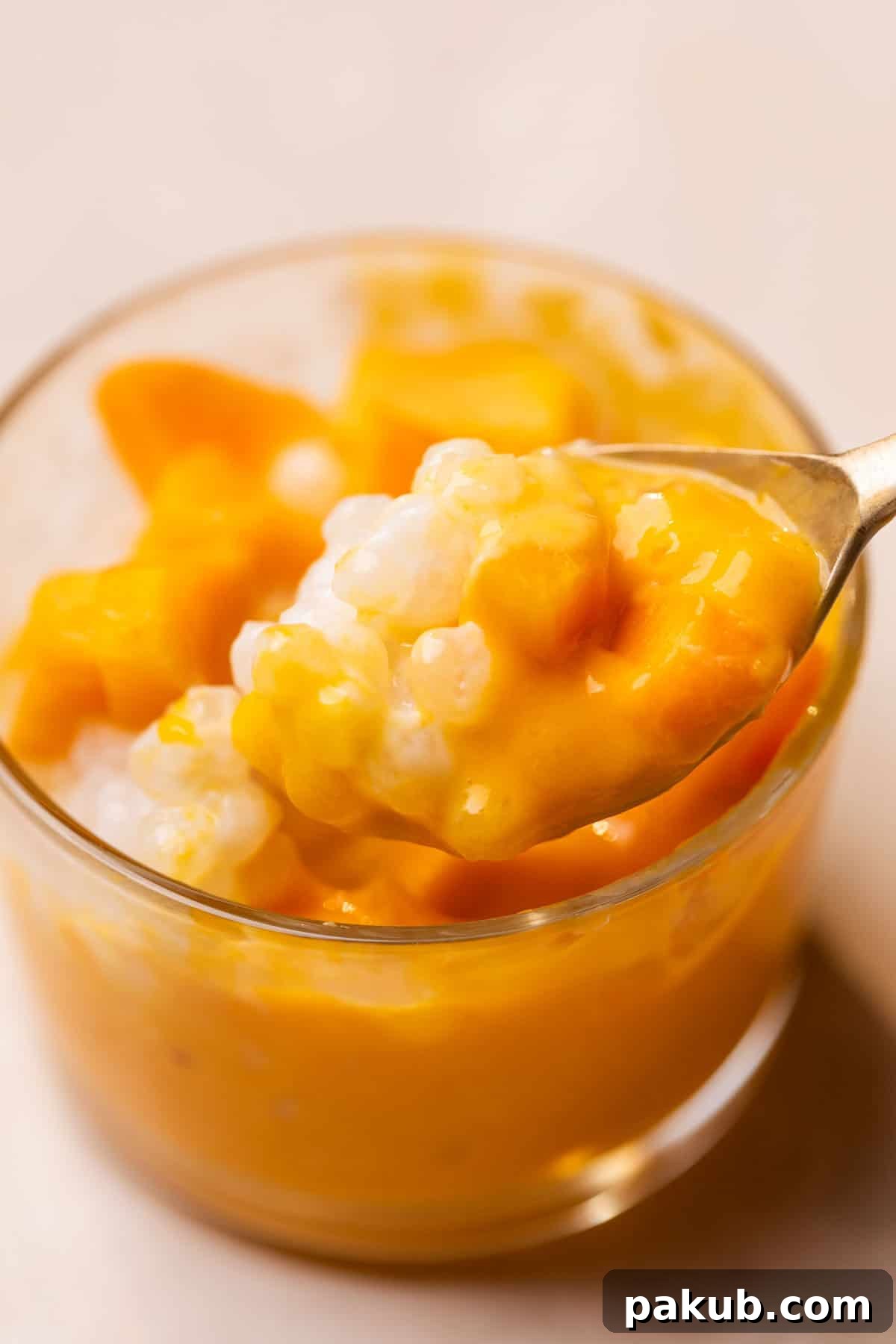 Golden Mango Sago Bliss 3 A close-up image of Mango Sago in a glass bowl, showcasing its creamy texture with translucent sago pearls and vibrant mango chunks.