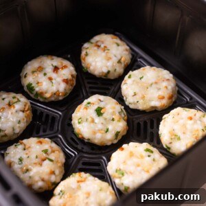 Sabudana Vada