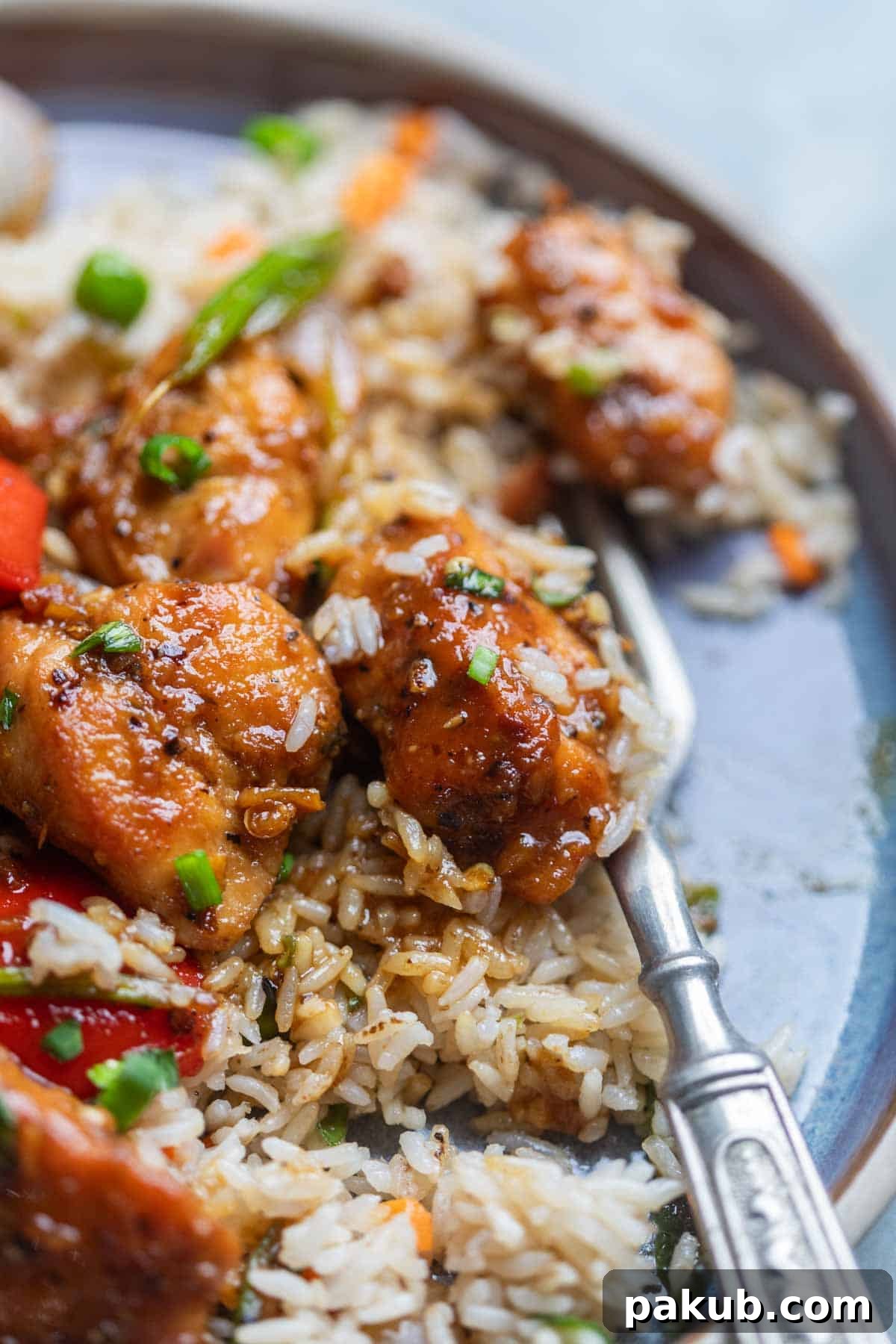 Bold Black Pepper Chicken 4 Close up of Black Pepper Chicken poured over rice on a plate, ready to be served.