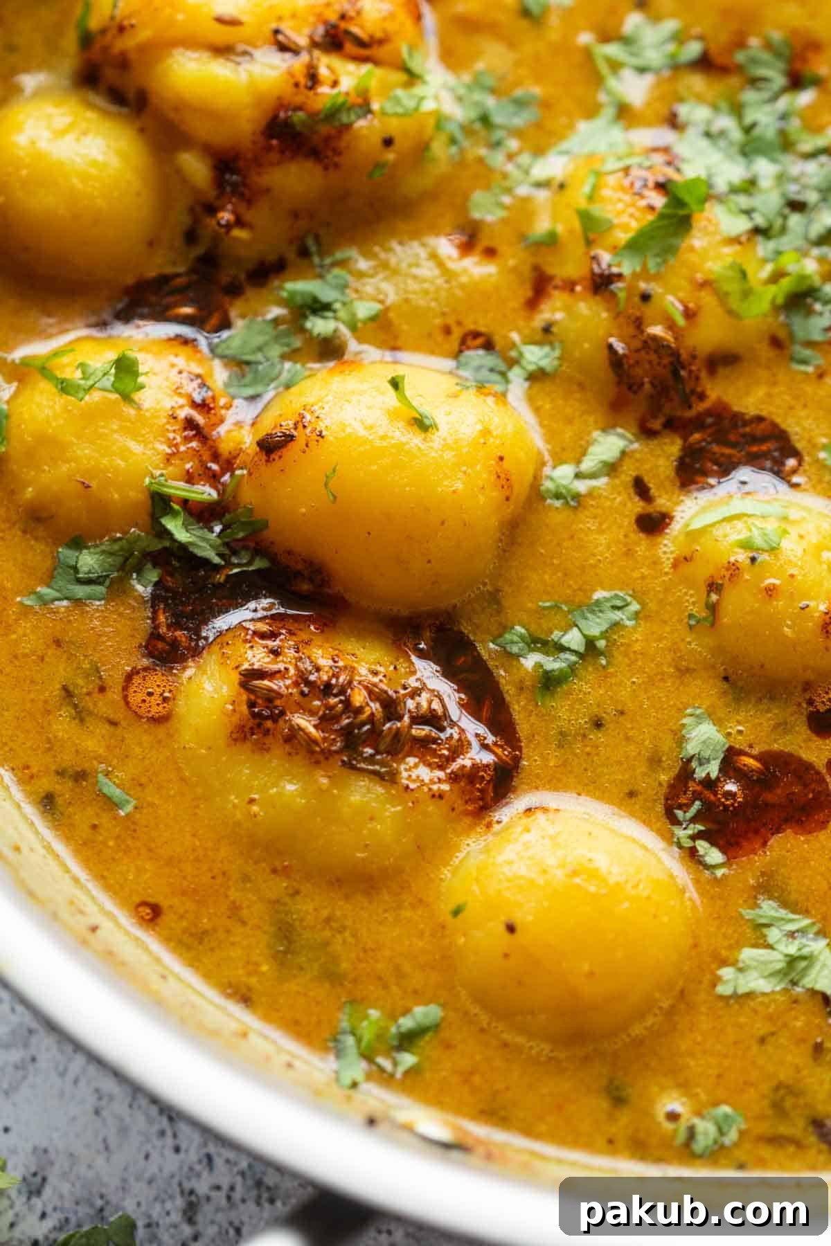Wholesome Fasting Potatoes 4 Close-up of Dahi Aloo sabzi, showing its creamy texture, tender potatoes, and vibrant garnishes.