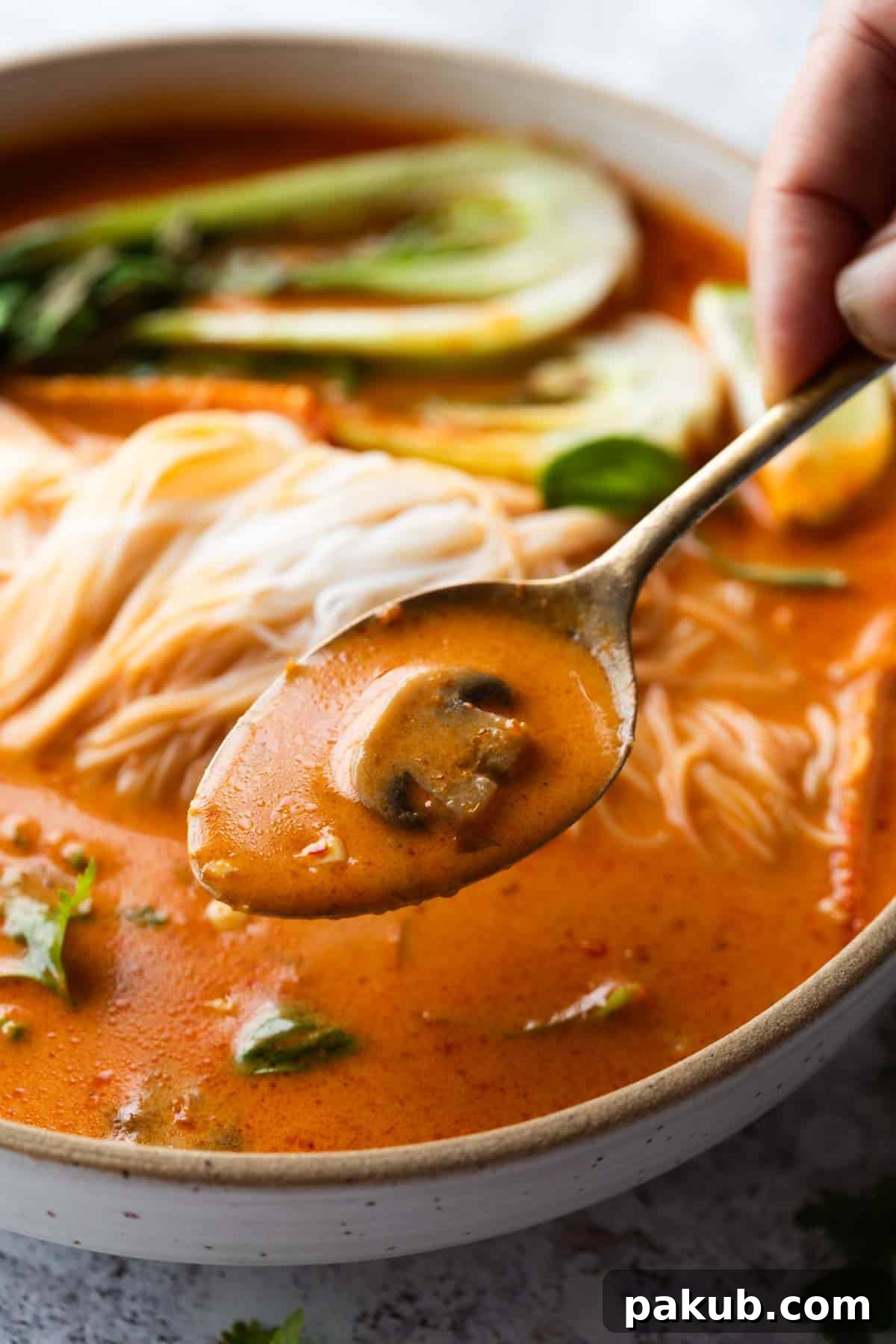 Thai Curry Noodle Soup 2 Close-up image of creamy Thai curry noodle soup scooped up in a spoon, highlighting its rich texture and vibrant ingredients.