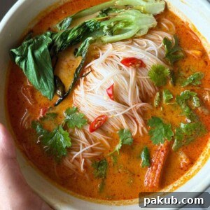 A delicious bowl of Thai Curry Noodle Soup