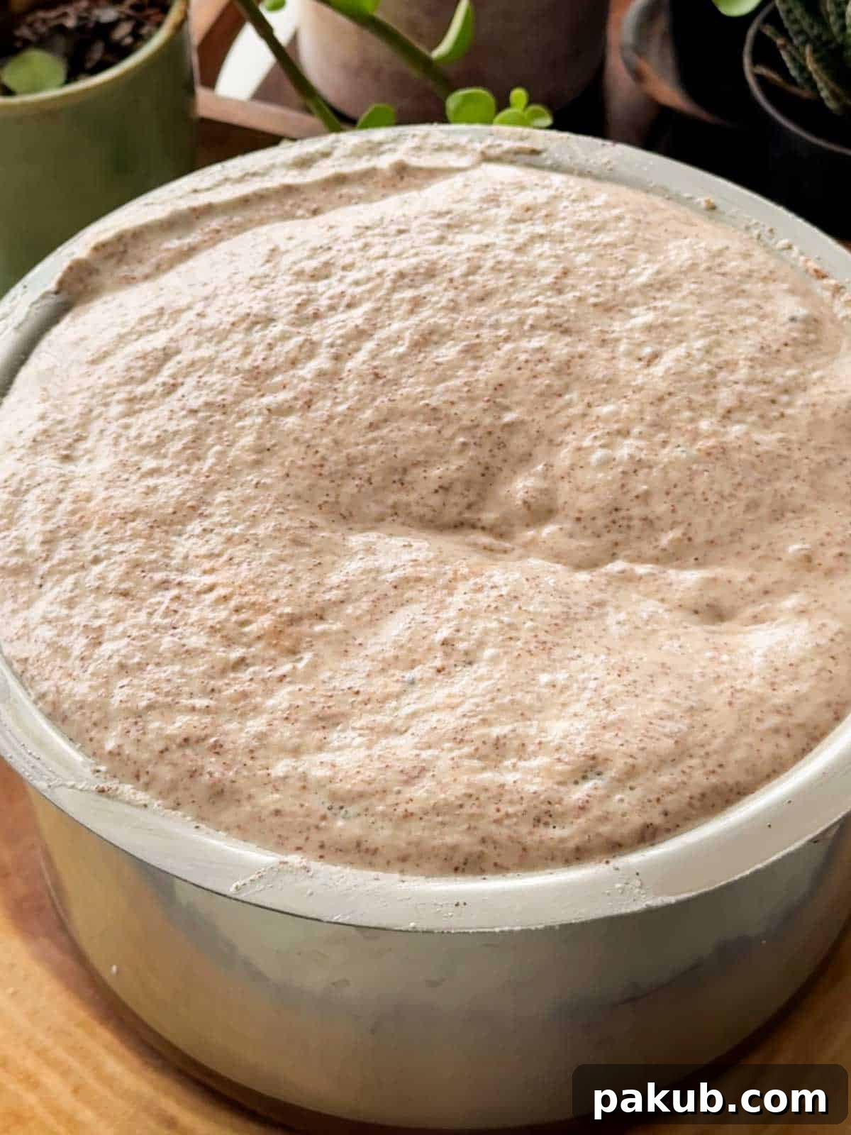 Healthy Ragi Millet Idli Dosa Batter 2 an image of fermented ragi idli dosa batter