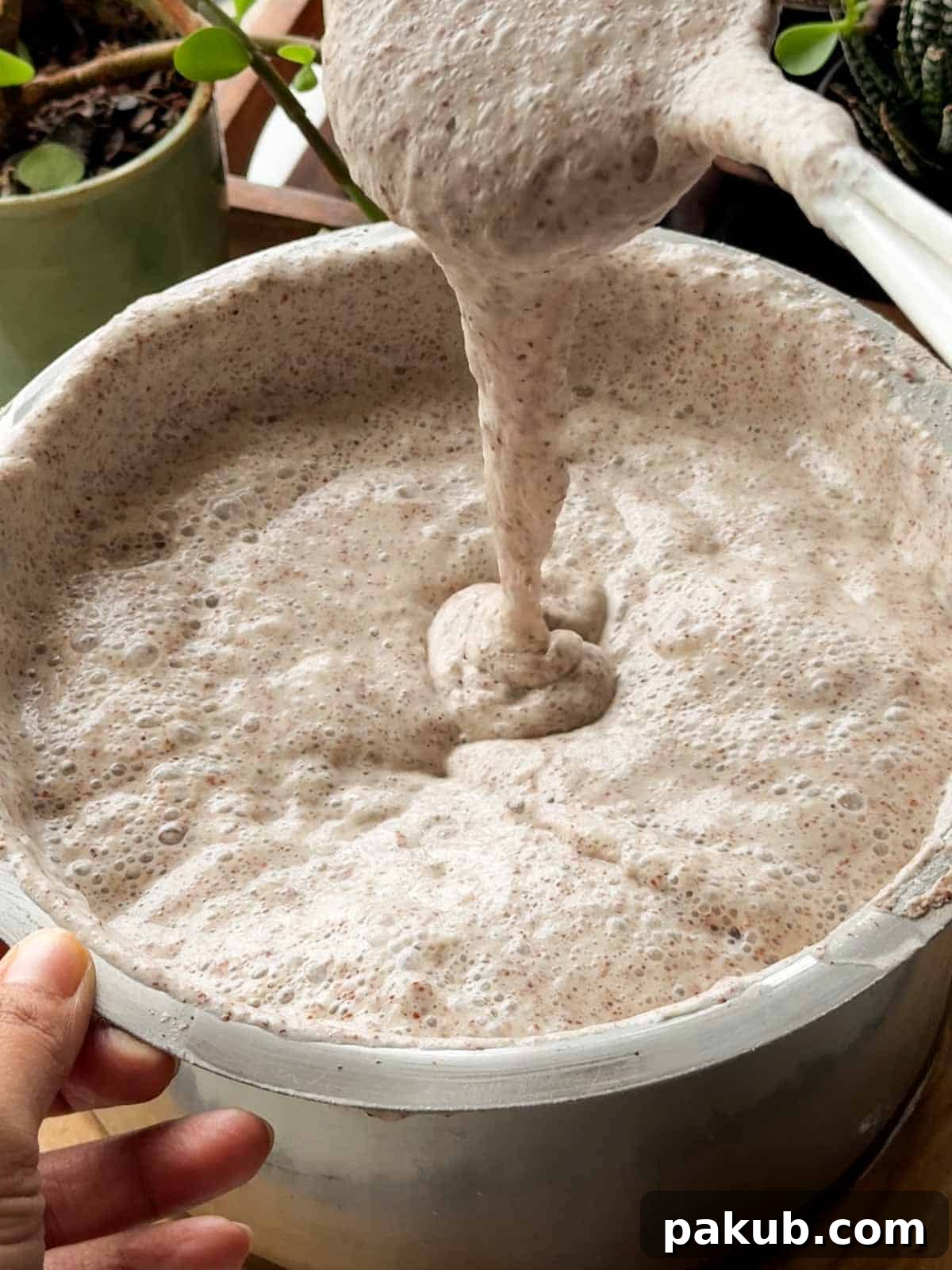 Healthy Ragi Millet Idli Dosa Batter 3 an image fermented ragi dosa batter being poured to show it's consistency