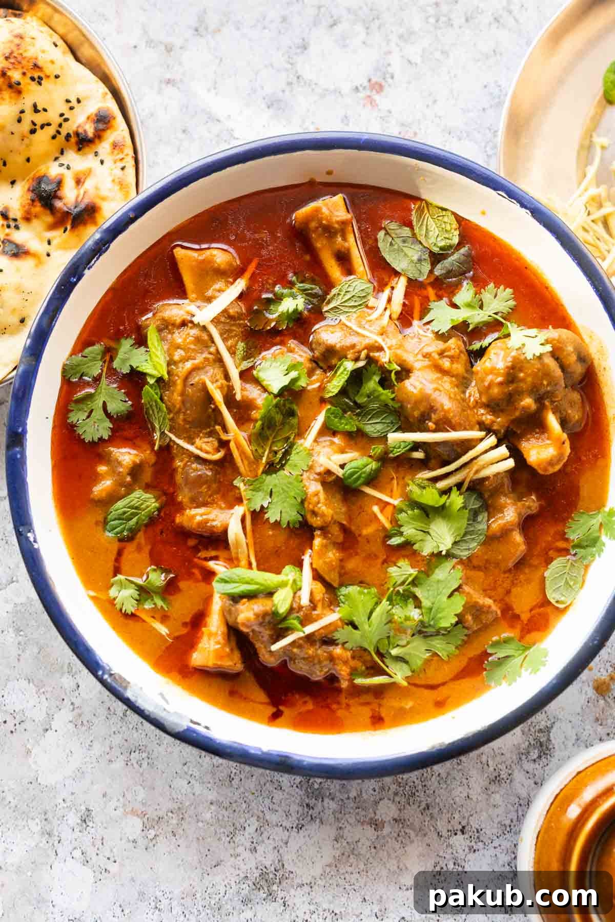 Close-up shot of Mutton Nihari in a bowl, showing the rich gravy and tender meat, with garnishes.
