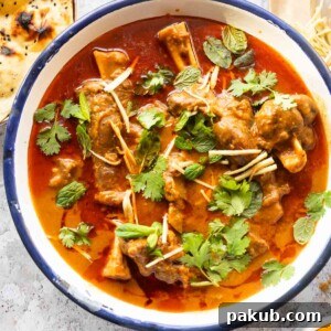 Mutton Nihari served in a bowl, garnished with coriander and julienned ginger