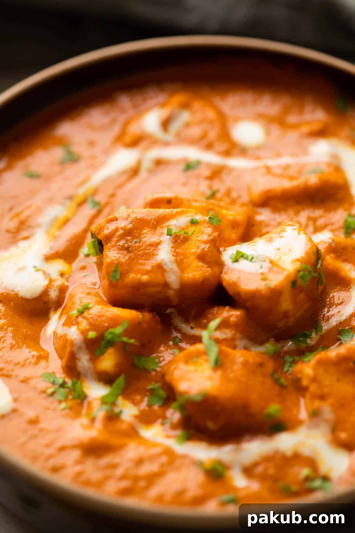 Creamy Restaurant Style Paneer Butter Masala 6 A closeup of paneer pieces in paneer butter masala with dollops of cream and finely chopped coriander on top