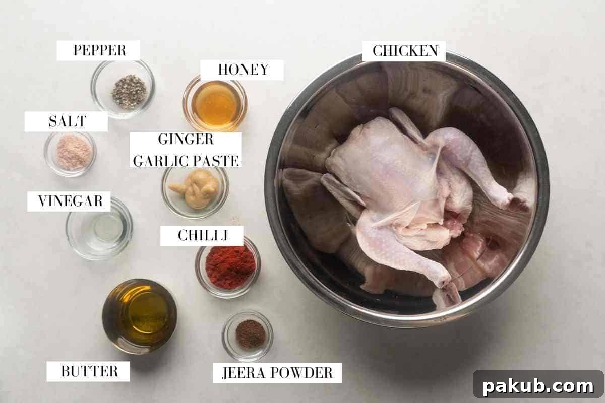 Picture of all the ingredients for Indian roast chicken with text to identify them
