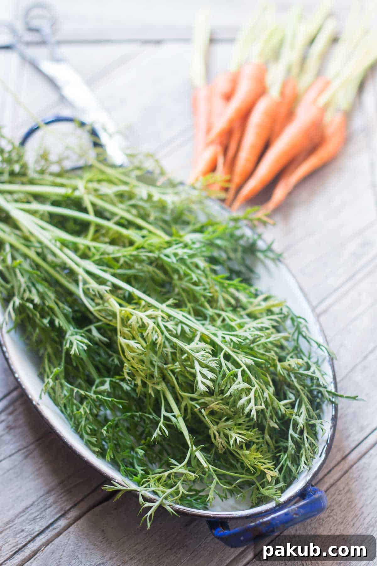 Fresh, vibrant carrot greens, the secret ingredient for our unique Chimichurri sauce.